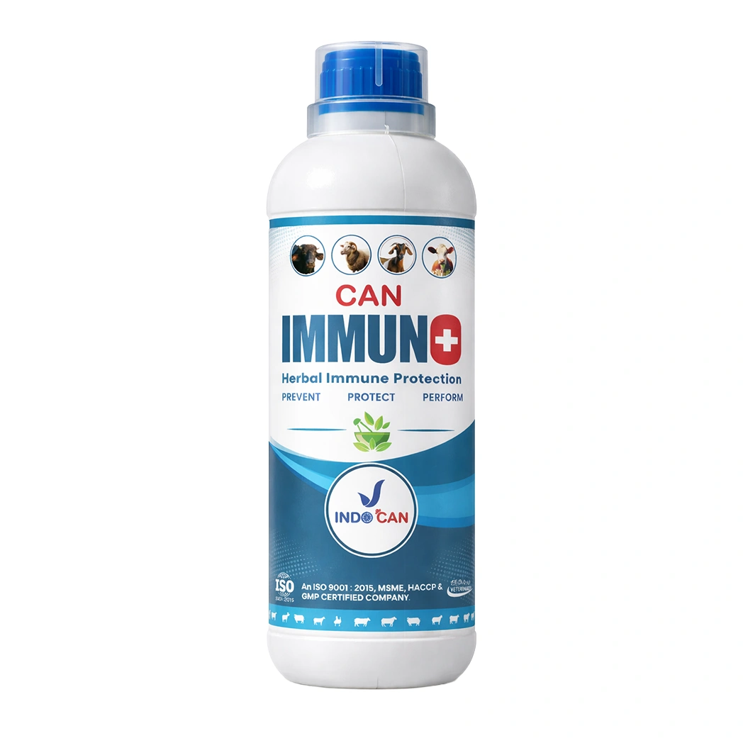 CAN IMMUNO+